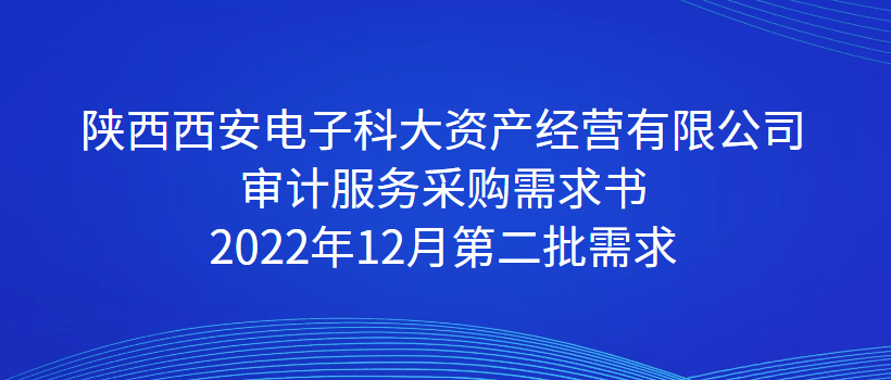 陜西西安電子科大資產經營有限公司 審計服務采購需求書 2022年12月第二批需求
