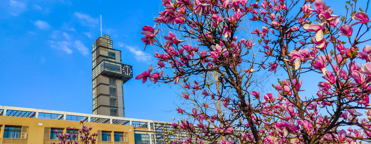 共赴春之約，嘗鮮正當時——1931餐廳“春日盛宴”煥然上新！